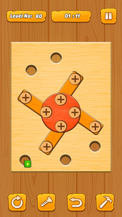 Nuts & Bolts Screw Challenges Screenshot
