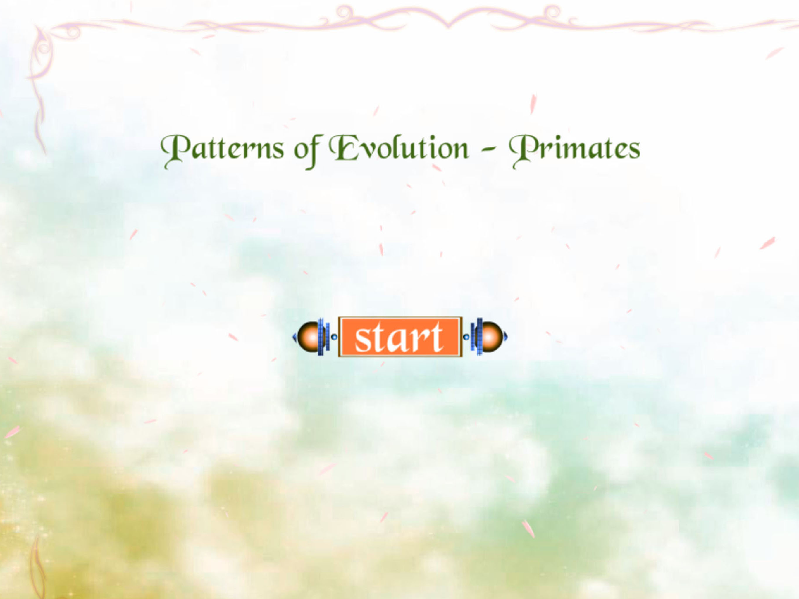 Pattern of Evolution-Primates