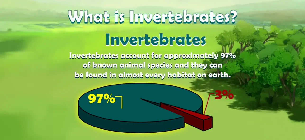 Screenshot #3 pour Invertebrate Animals
