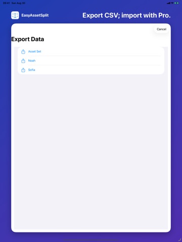 EasyAssetSplit iPad screenshot