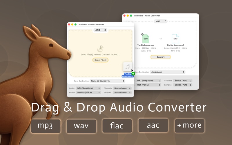 AudioRoo screenshot
