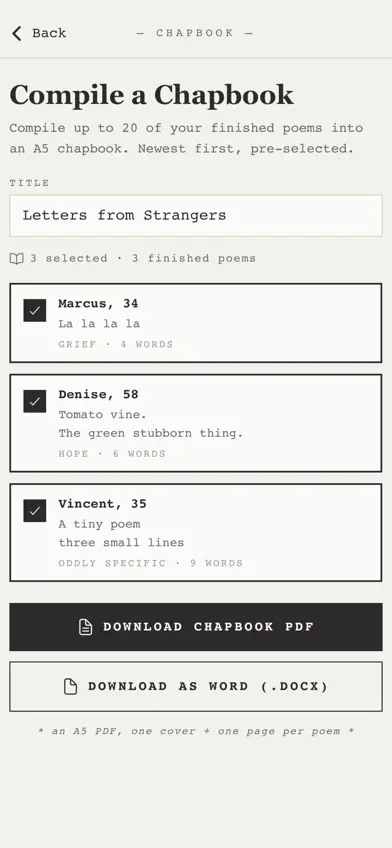 The Poet's Muse screenshot 5