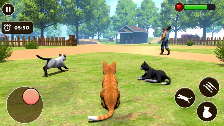 Little Pet: Cat Simulator Game