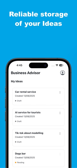Bisiness-Advisor Screenshot 3 of 4