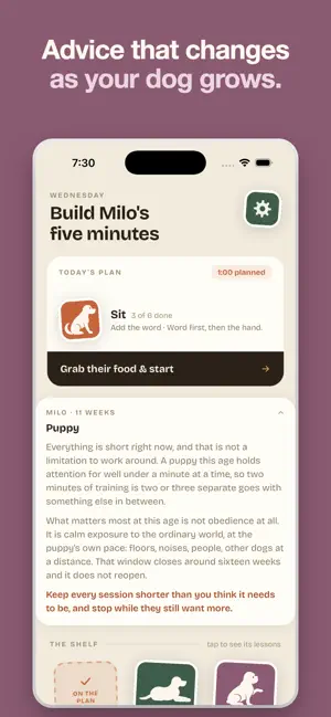 Smidge: Dog Training screenshot 4