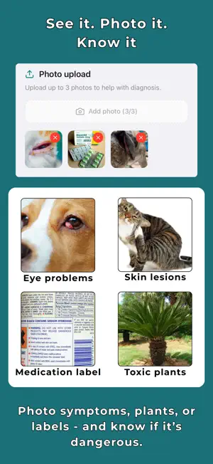 Triage Paw: AI Pet Triage screenshot 4