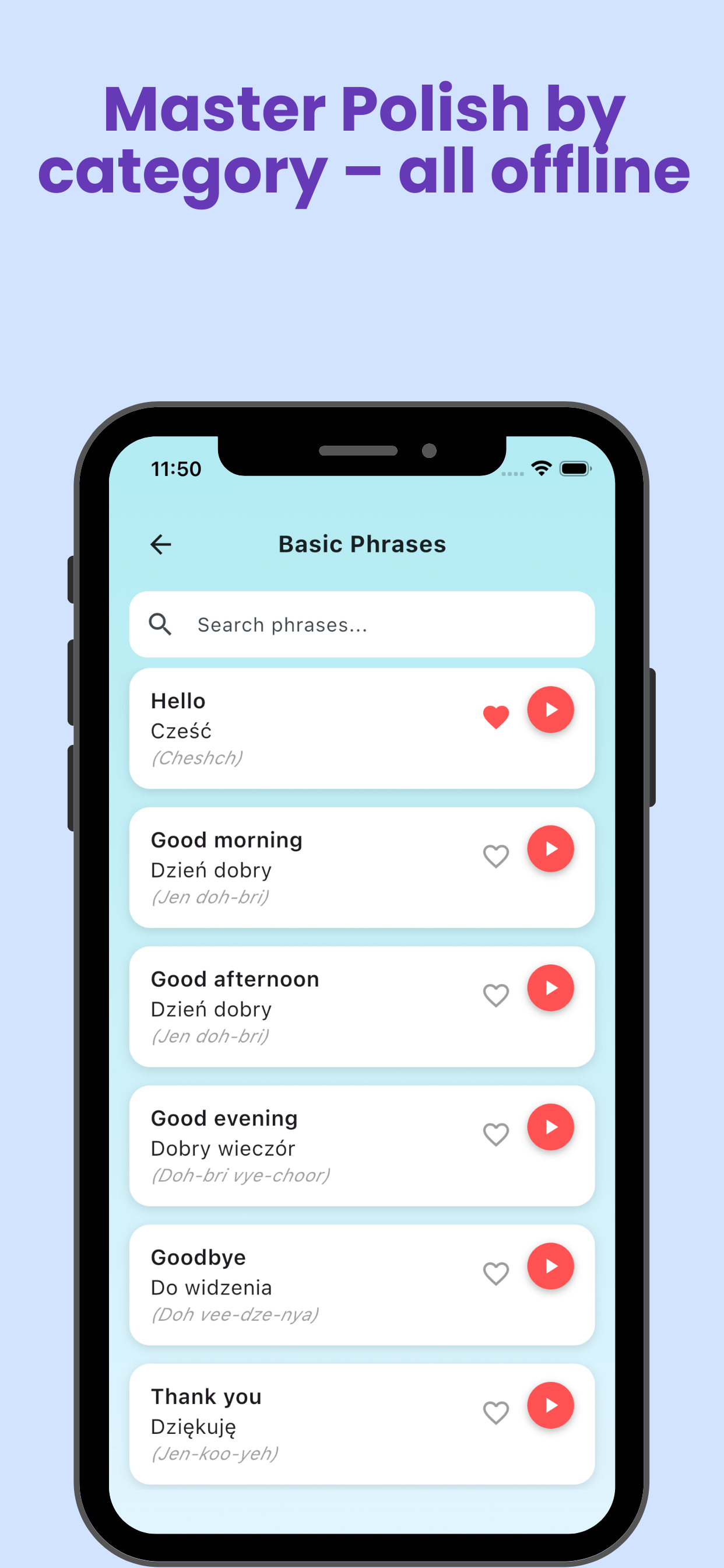 Polish Phrasebook for Travel