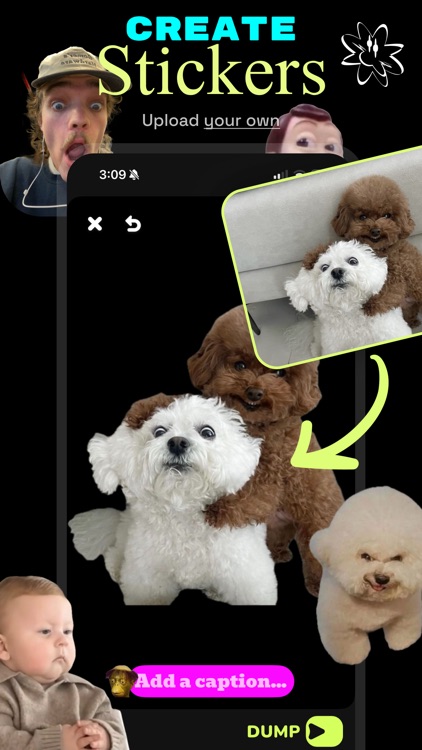 Dumps - Memories with Friends