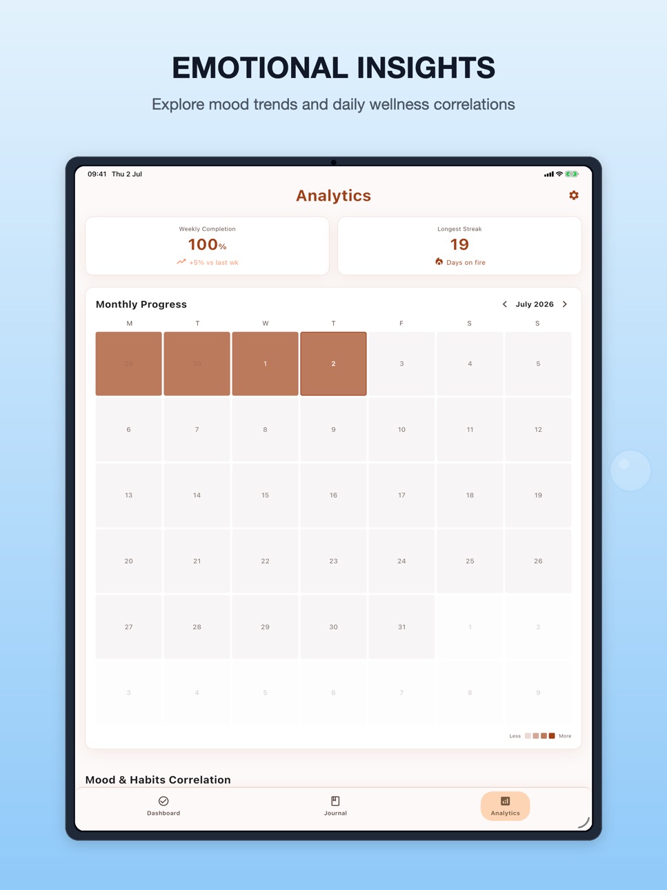 iPad screenshot