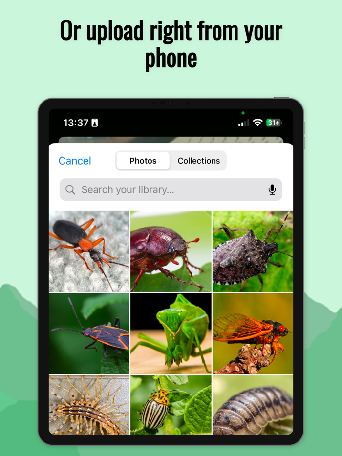 Bug Identifier - AI Scanner