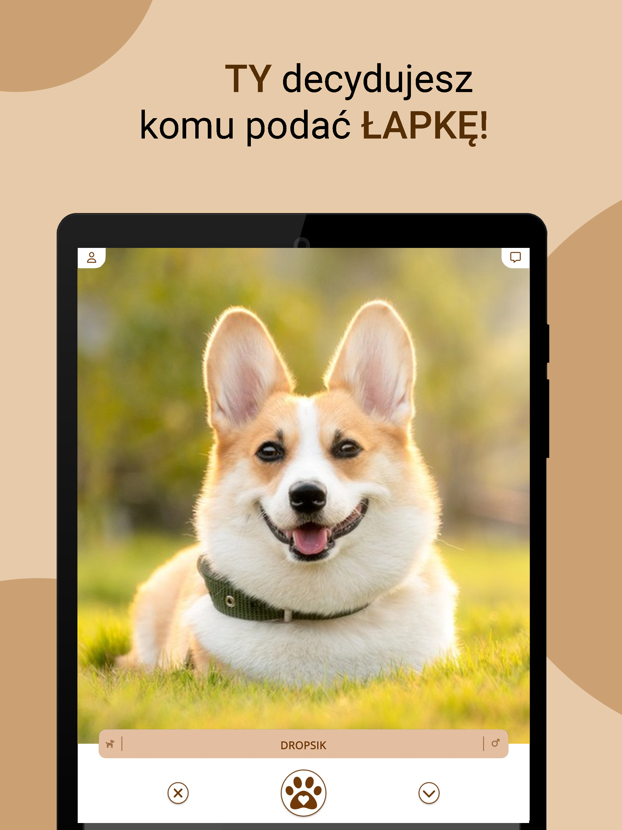 ŁAPKA