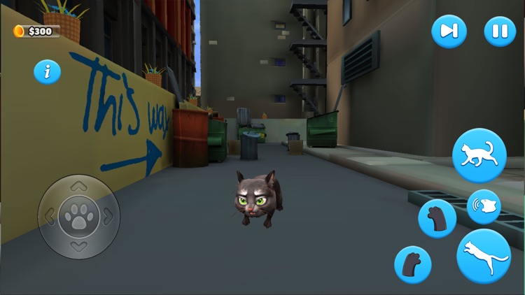 Big City Little Kitty Escape