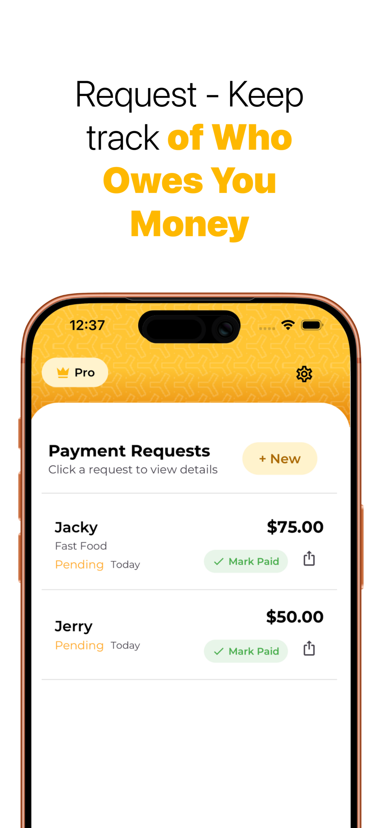 Anywaypay screenshot 5