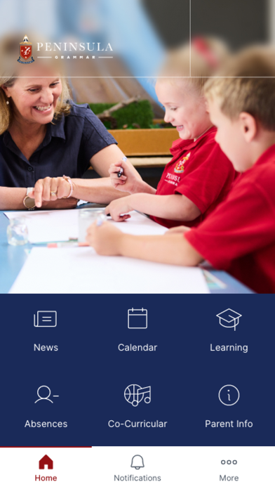 Peninsula Grammar Screenshot