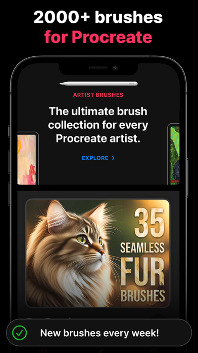 Screenshot #1 pour Artist Brushes pour Procreate