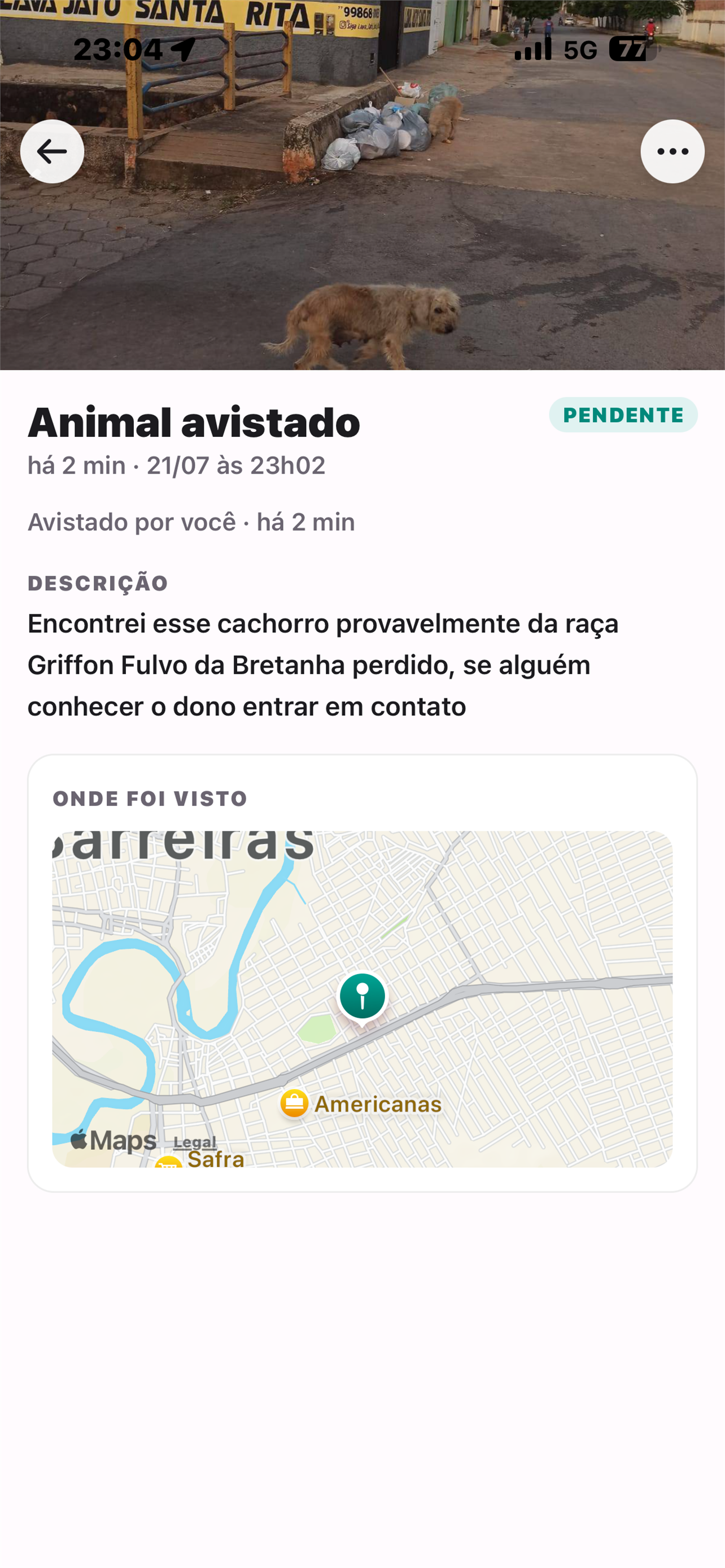 Pai de Pet screenshot 3