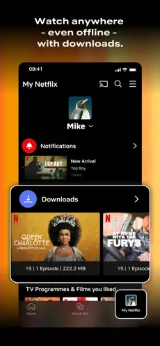 Netflix screenshot 3