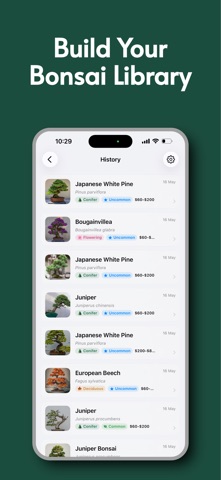 Bonsai Identifier: Care Guide Screenshot 5 of 5