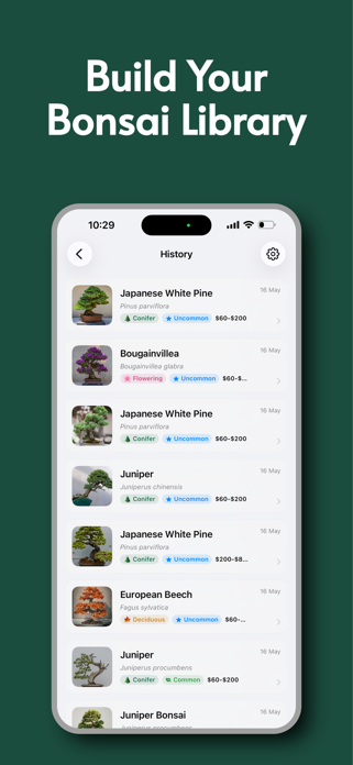 Bonsai Identifier: Care Guide Screenshot 5 of 5