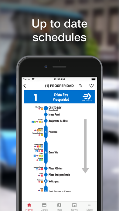 Madrid Transport - TTP Screenshot