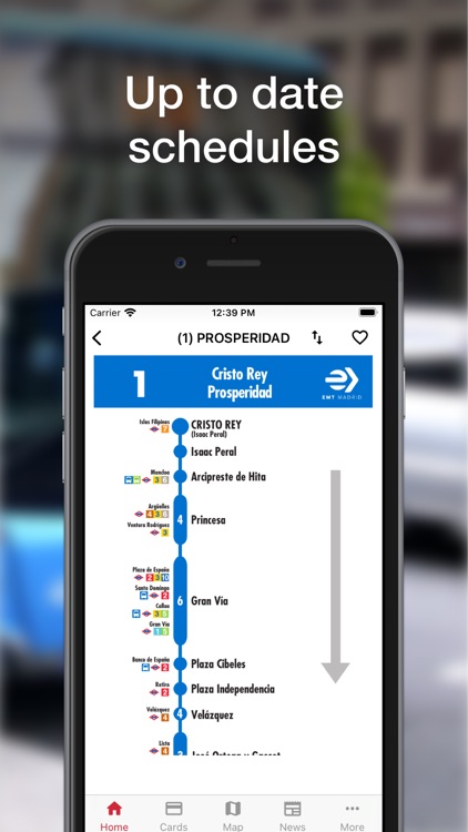 Madrid Transport - TTP screenshot-5