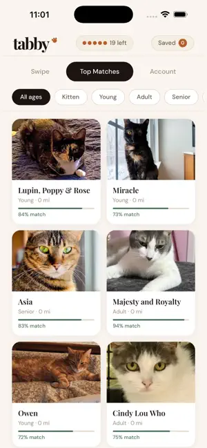 Tabby Pet Finder screenshot 2