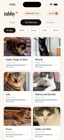 Tabby Pet Finder Screenshot 2 of 4