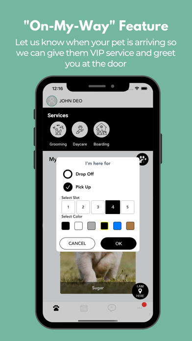 Belle Shain Kennels & Farm Screenshot