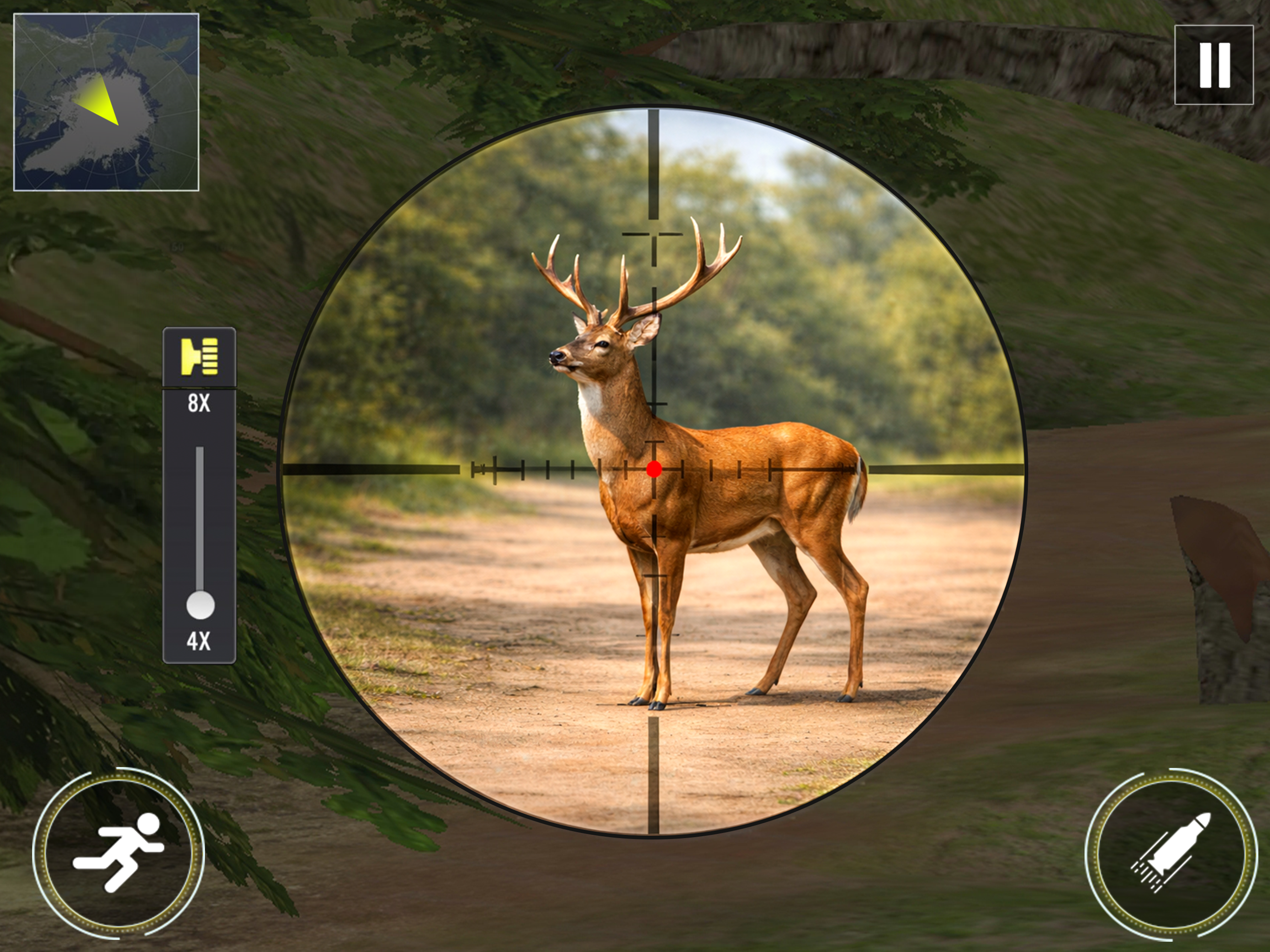 Wild Hunter 3D: Shooting Games