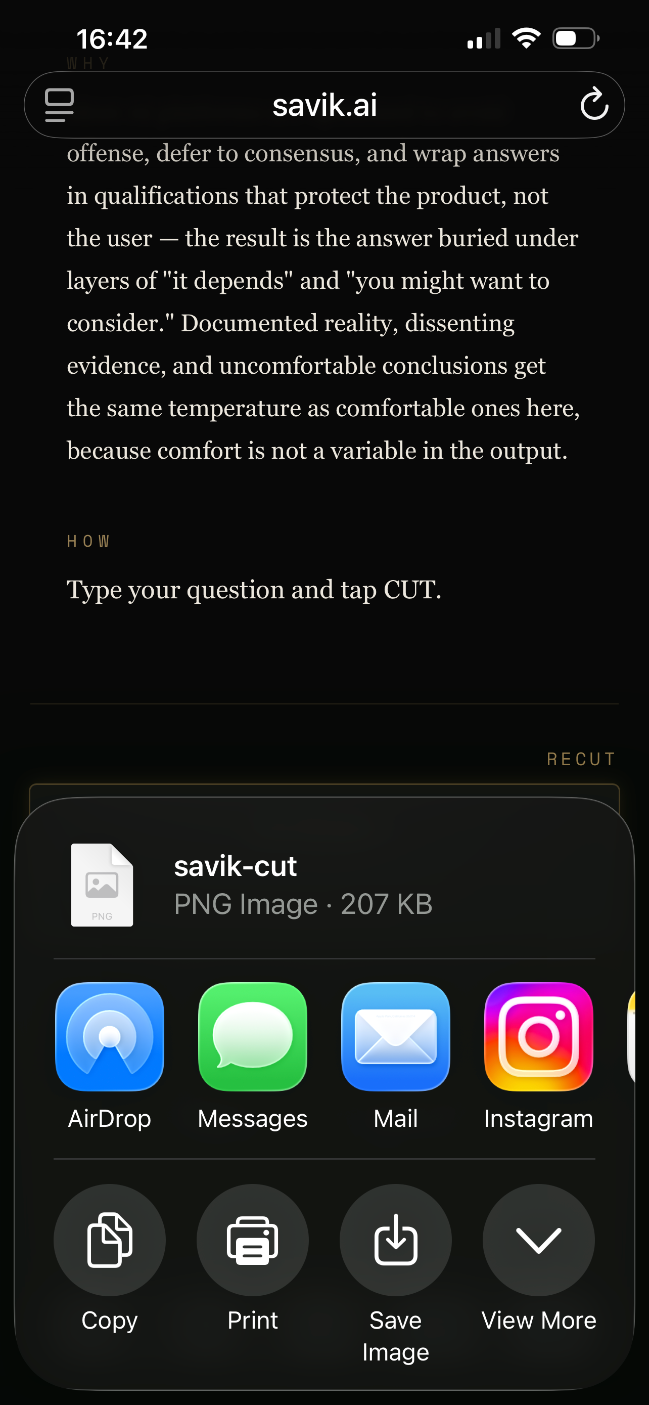 SAVIK screenshot 3