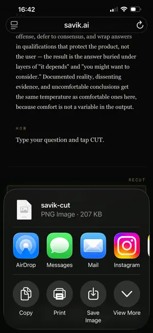 SAVIK screenshot 3