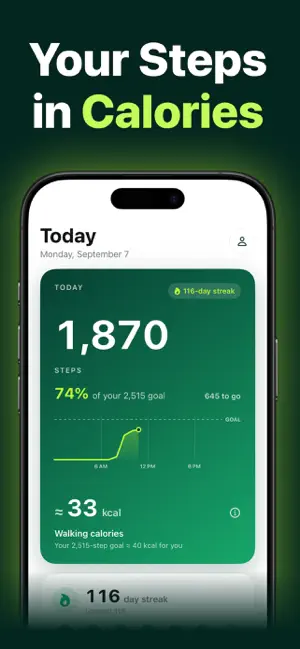 Walk Calories Tracker screenshot 1