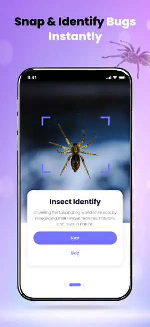 Spider ID - Bug Identifier screenshot 1
