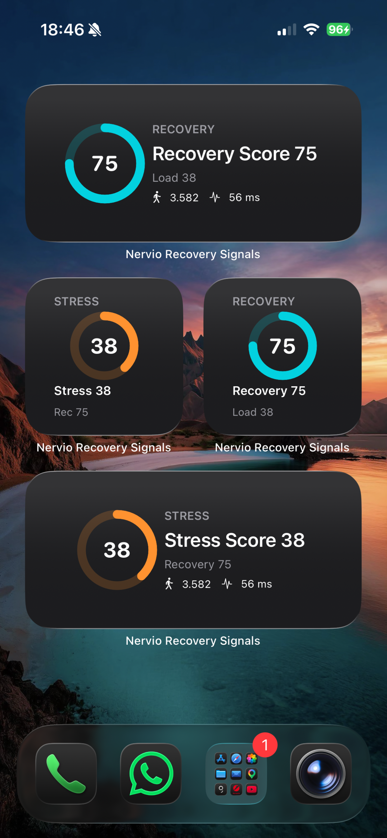 Nervio Recovery Signals