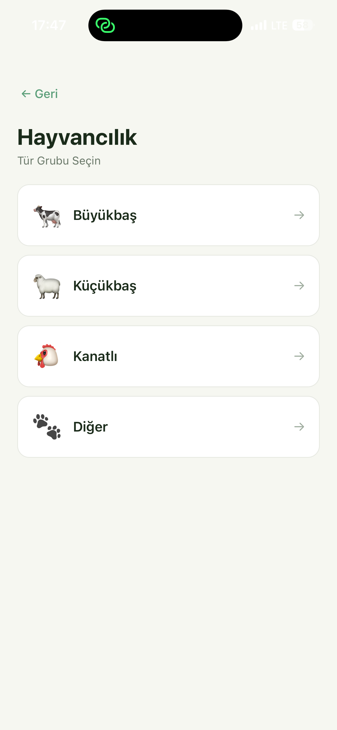 Umay Ana screenshot 3