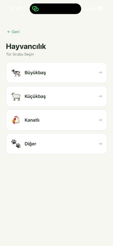 Umay Ana Screenshot 3 of 7