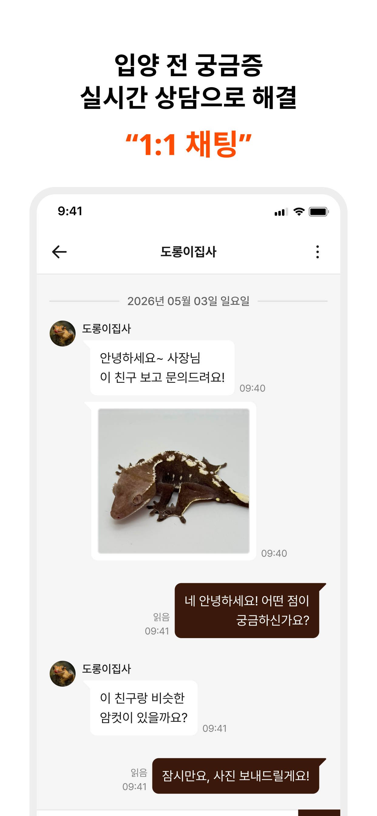 동물다락 - 열대어,파충류, 이색 반려동물 입양 플랫폼