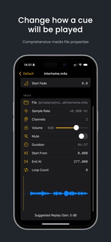 CuePlayer: Event Media Player Screenshot 2 of 3