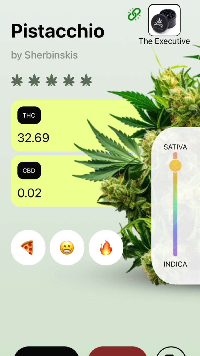 MyStashBox - by Black Market