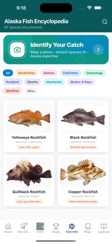 Alaska Fishtopia screenshot