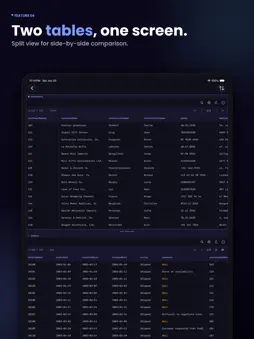 MagicSQL - SQL Client & Editor screenshot 10