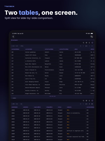MagicSQL - SQL Client & Editor iPad screenshot