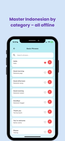 Indonesia Travel Phrasebook screenshot