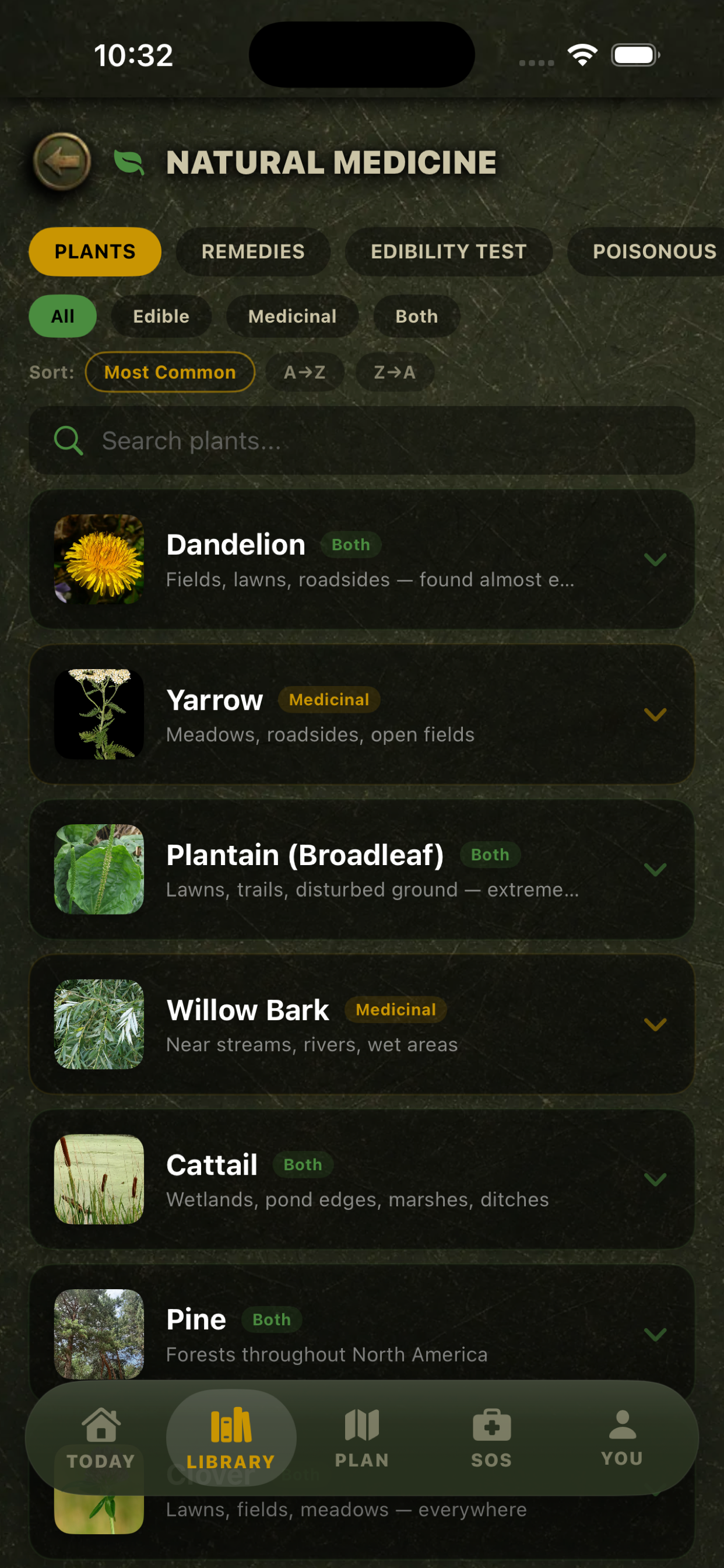 Gridless: Survival Guide screenshot 5