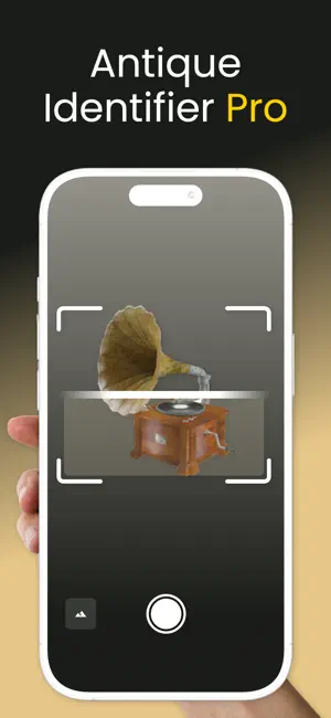 Antique Identifier Pro screenshot 1