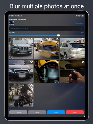 Car Plate Blur AI iPad screenshot