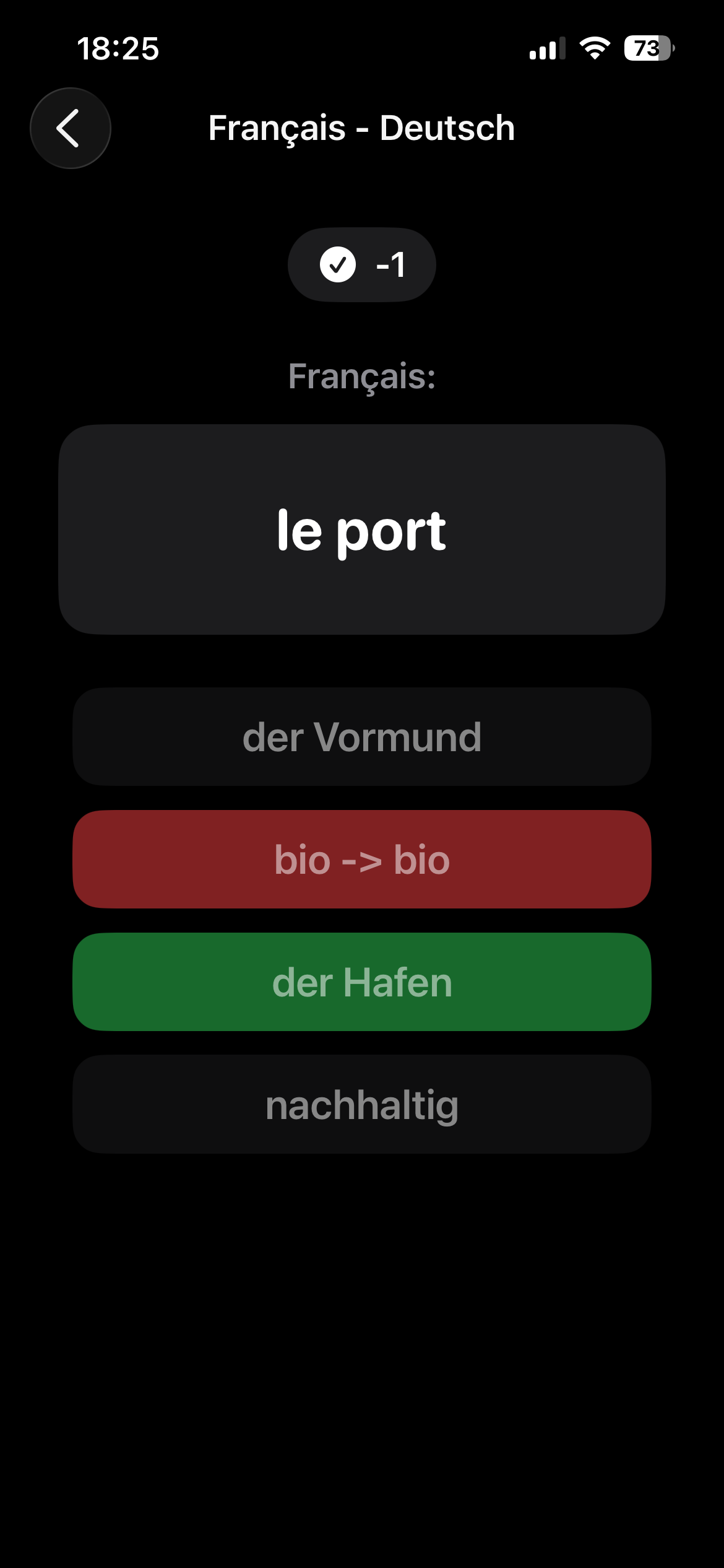 LangMemo screenshot 3