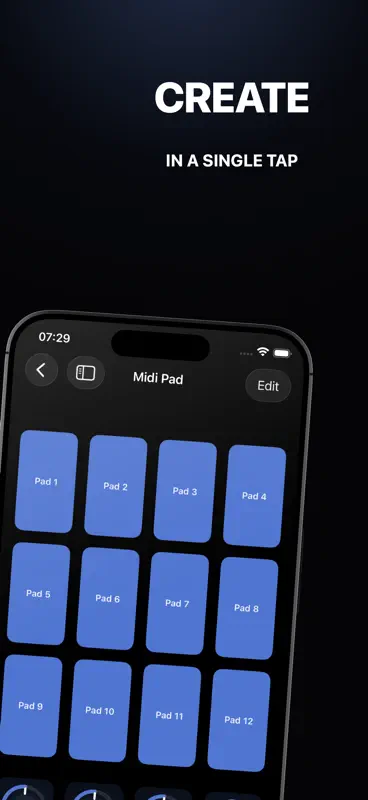 Delay Pedal: AUv3 Plugin screenshot 8 of 8
