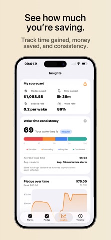Snoozed: Wake up or pay up screenshot
