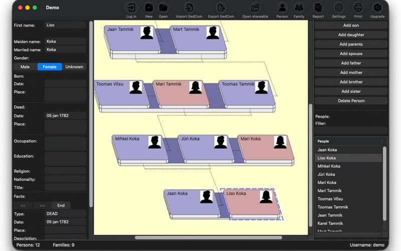 Family Tree Builder 6 screenshot